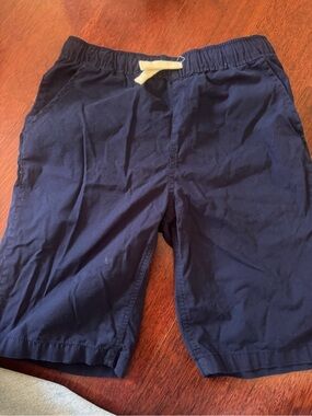 Place Men's Navy Drawstring Flat Front Shorts